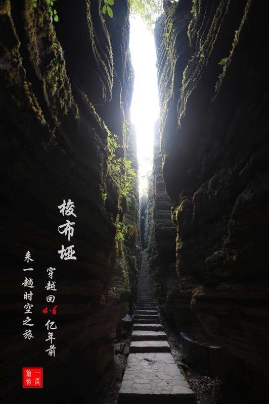 发挥实效丨安全出口数量不足，突泉一餐饮店被临时查封！
