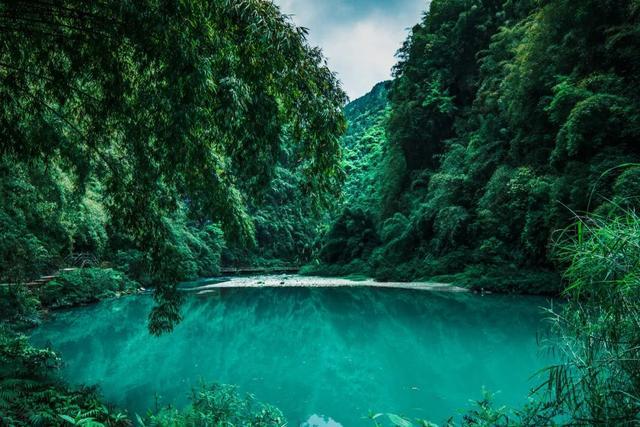 泰山队队内对抗赛调整状态,新外援打进两球,国脚下周归队合练